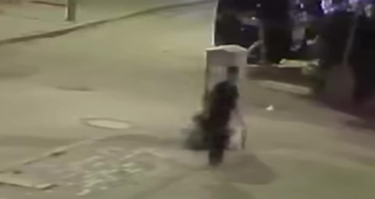 aksarayda yavru kediye iskence defalarca firlatarak oldurdu W39Vdccs