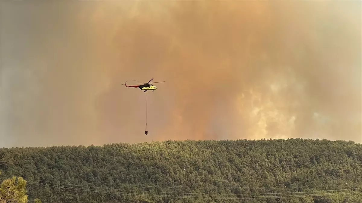 alanyada orman yangini mahalle bosaltildi Ns9TA7dT
