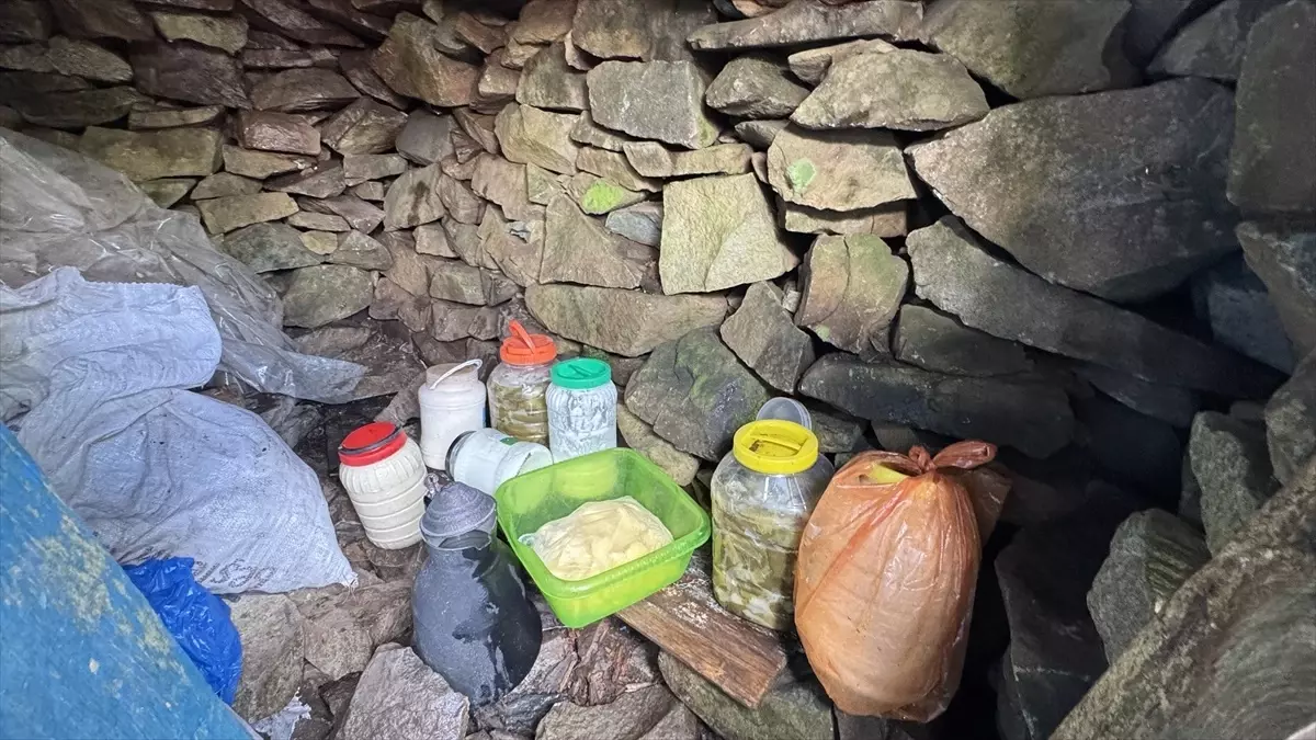 artvindeki dogal buzhaneler 9jOpZcVT