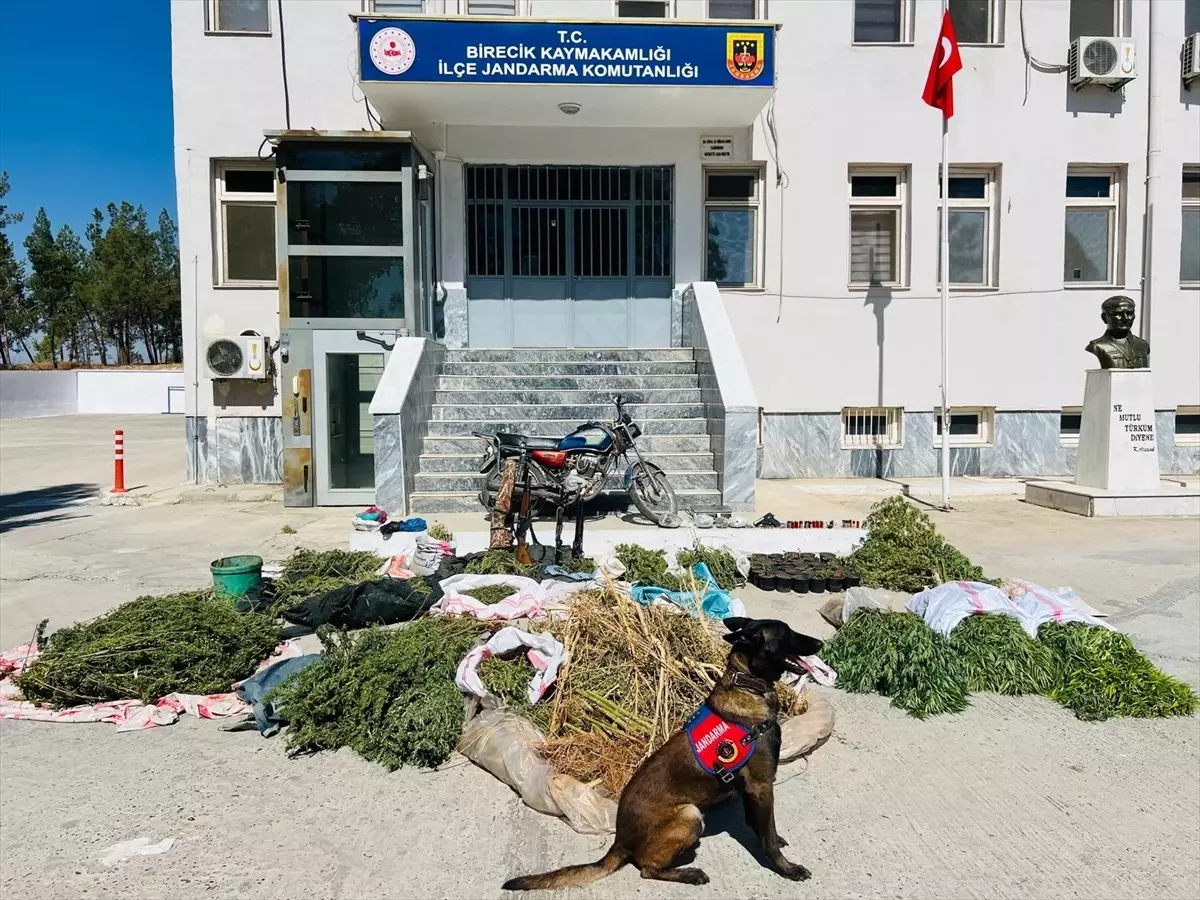 birecikte uyusturucu operasyonu 3 gozalti WbqIbgUb