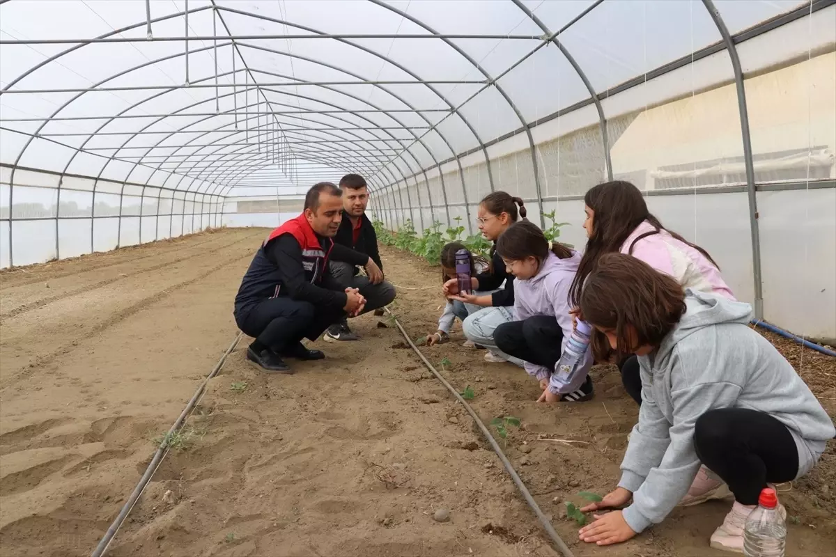 edirnede cocuk tarim akademisi FifVk3rW