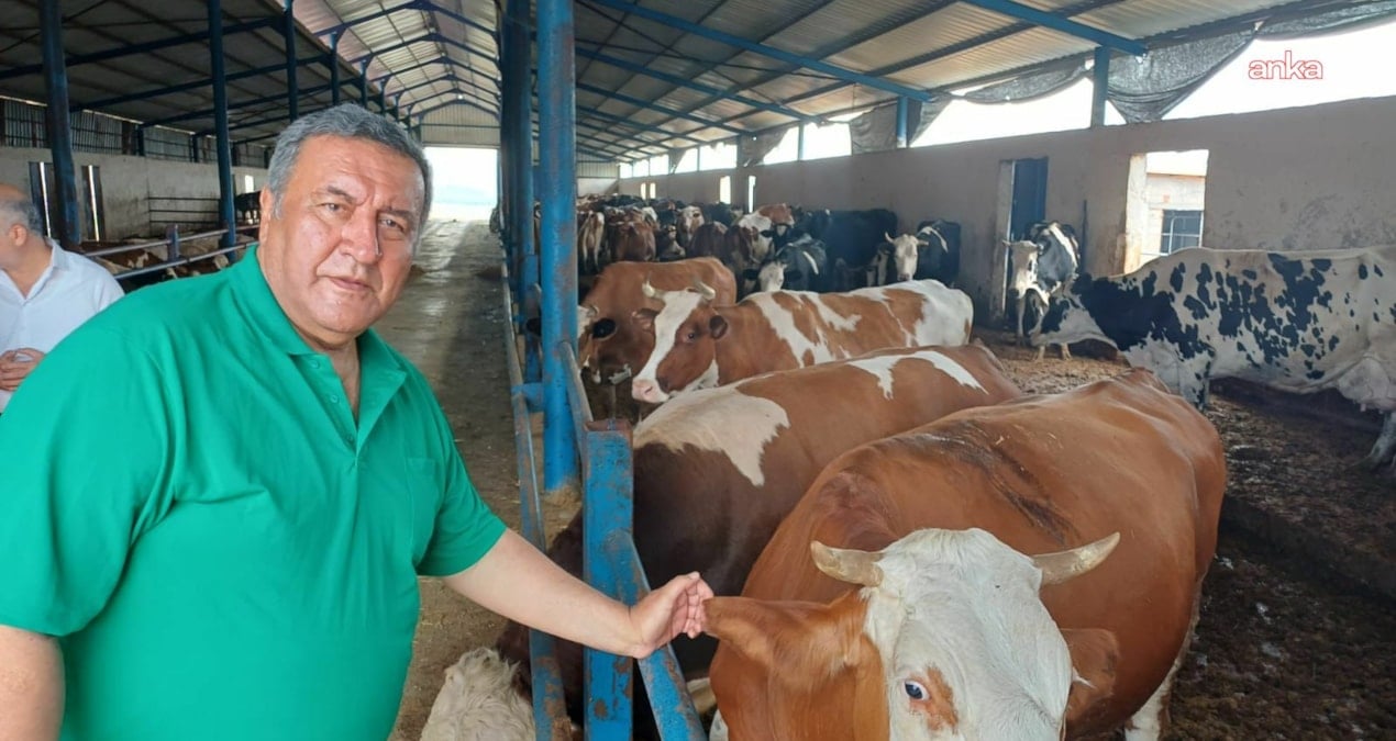 gurer et fiyatlarina isyan etti uretici degil ithalat kazaniyor QqxGx7K8.jpg