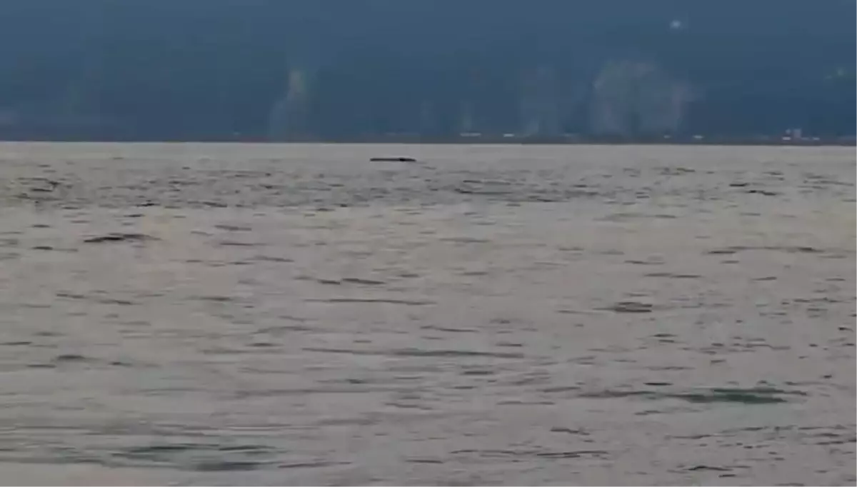 insansiz deniz araci hopada imha edildi nOfK9nBM