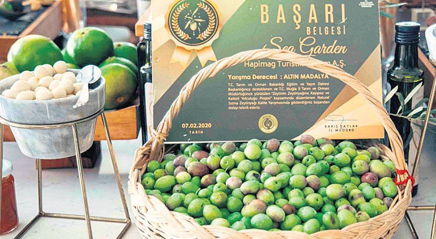 zeytinyaginin surdurulebilir yasama katkisini konustular ZcuVt6zl.jpg