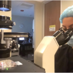 atlas-featured-8672-1775583002-h4FN8n