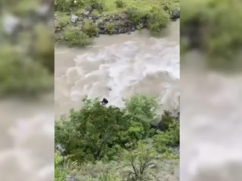 Artvin’de bir otomobil Çoruh Nehri’ne düştü: Baba ile oğlu aranıyor