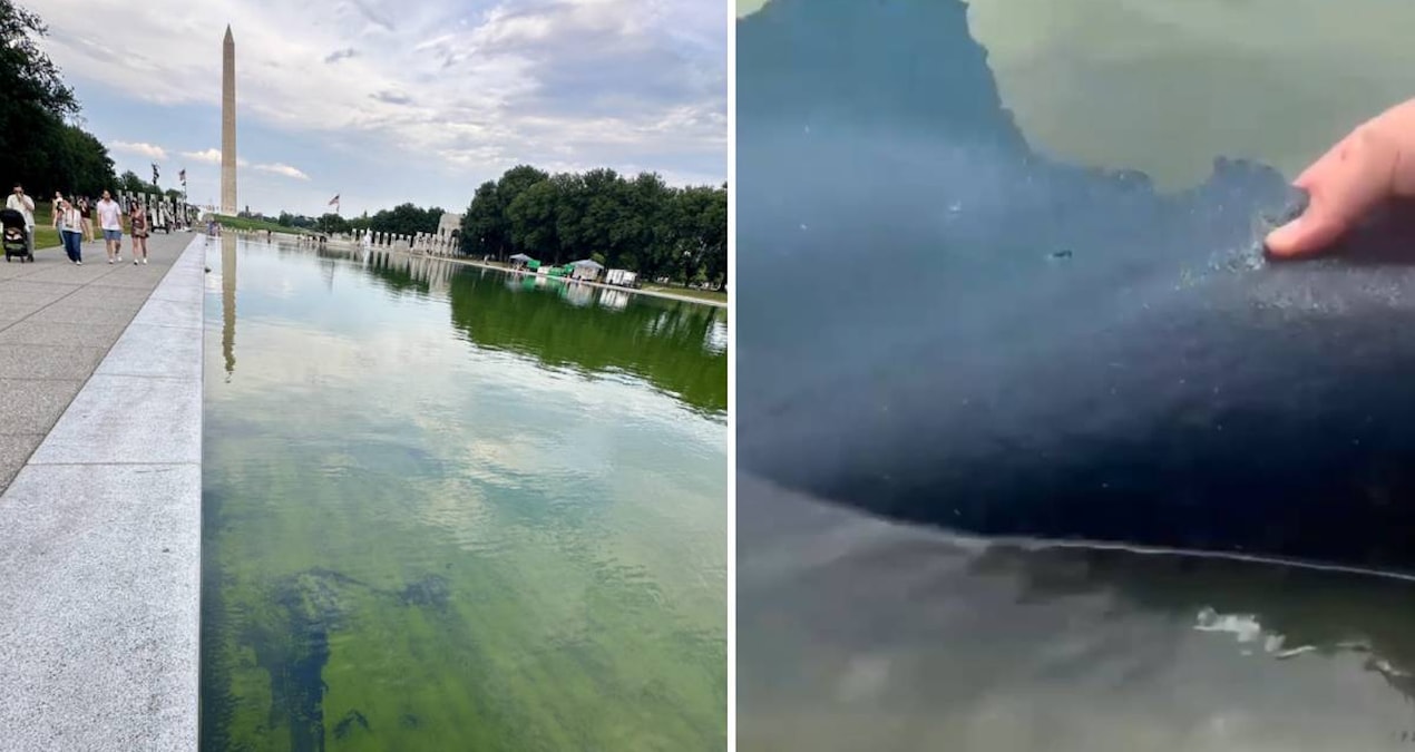 Avrupa’daki çocukları 300 euroya terör eylemlerine yönlendirdi